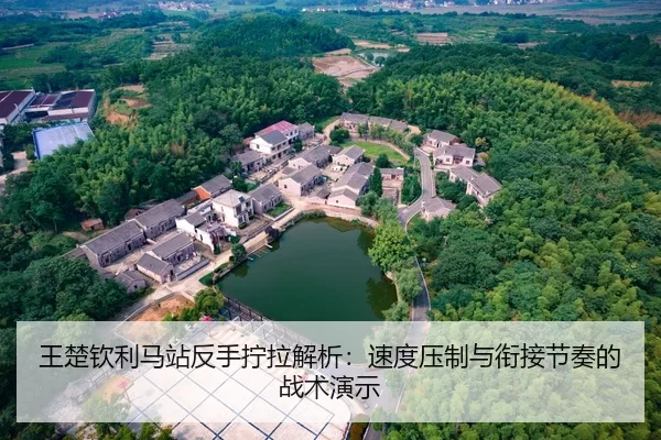 wang-chu-qin-li-ma-zhan-fan-shou-ning-la-jie-xi-su-du-ya-zhi-yu-xian-jie-jie-zou-de-zhan-shu-yan-shi-2-258.jpg